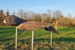 Skulptur FISCHeye von Anne Huster