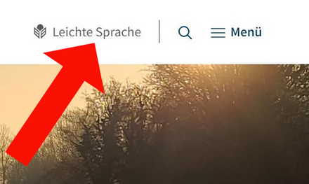 Leichte Sprache